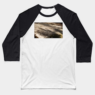 Fern leaf shadows on rocks Baseball T-Shirt